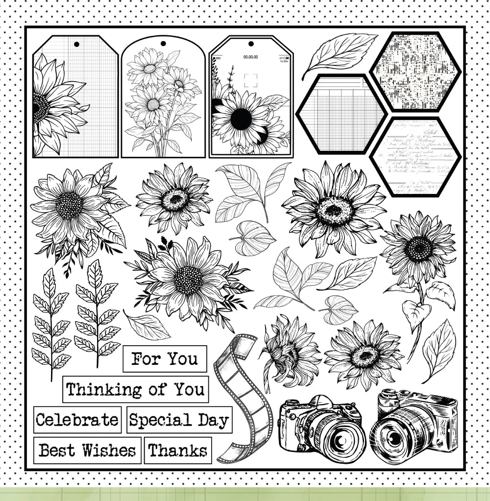 Bee Arty - Happy Snaps 12'' x 12'' Paper Packs