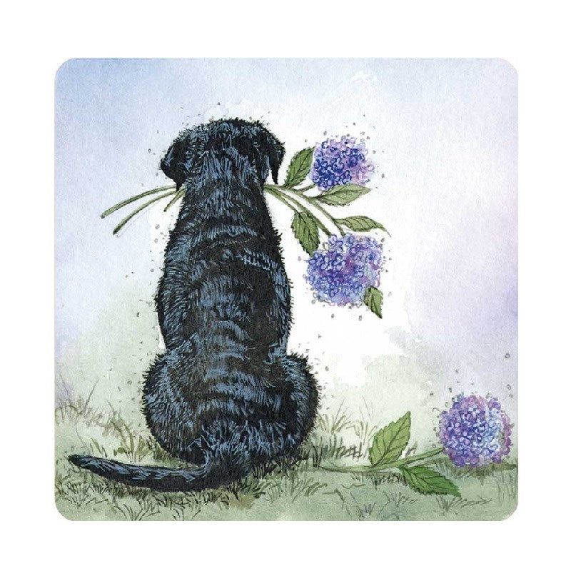 Alex Clark - Coaster - Labrador And Hydrangeas