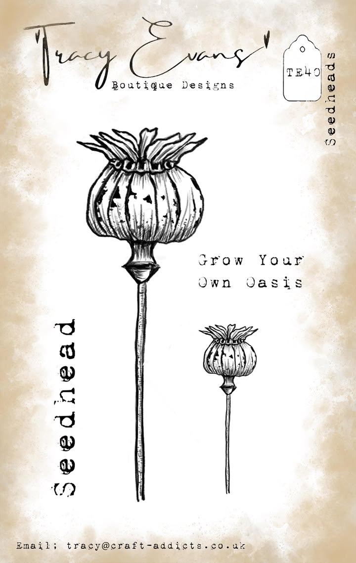 Tracy Evens Boutique Designs - Seedheads TE40