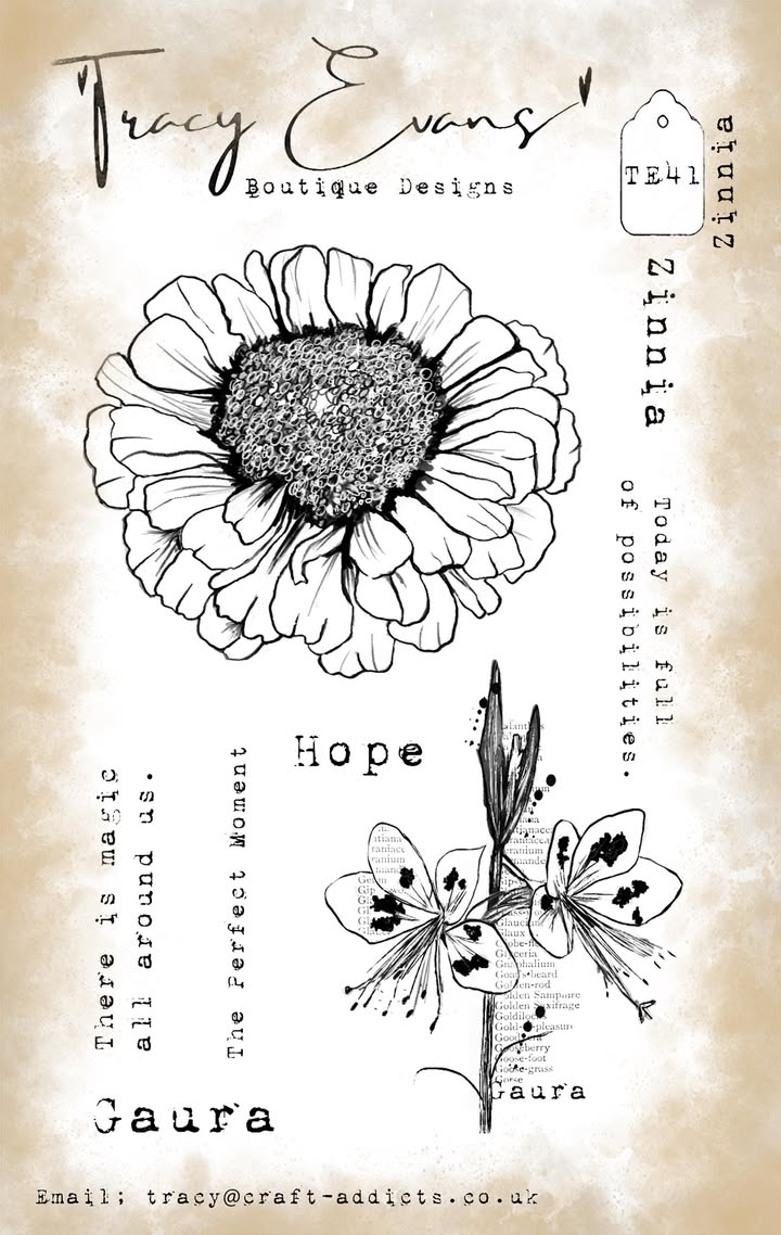 Tracy Evens Boutique Designs - Zinnia TE41