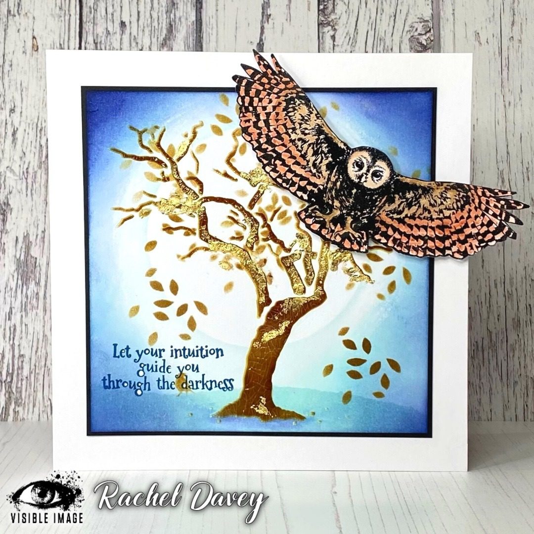 Visible Image clear stamps -Night Owl