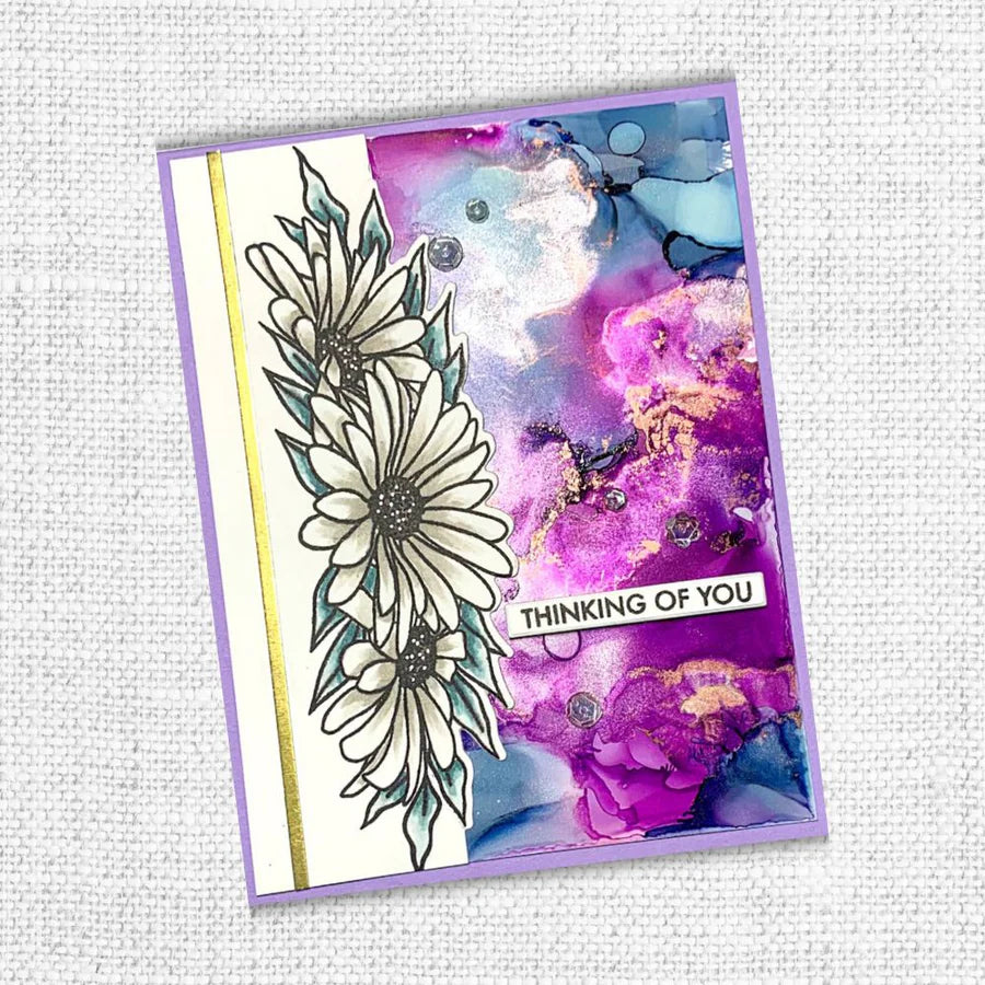 Paper Rose - Clear Stamp Set - Daisy Border 4x6" Stamp Set