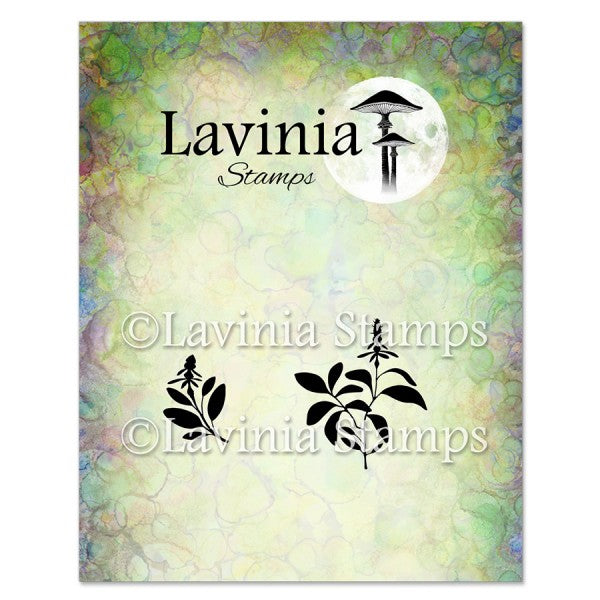 Lavinia Stamps - Sage