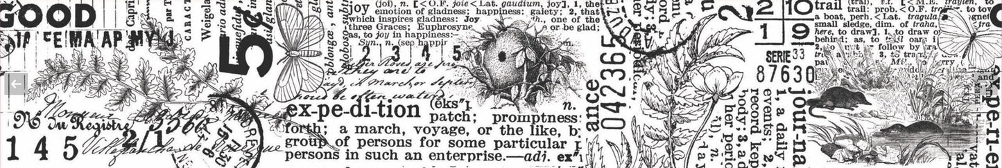 Arden Creative - Hidden Creek Journal Kiss-Cut PET tape