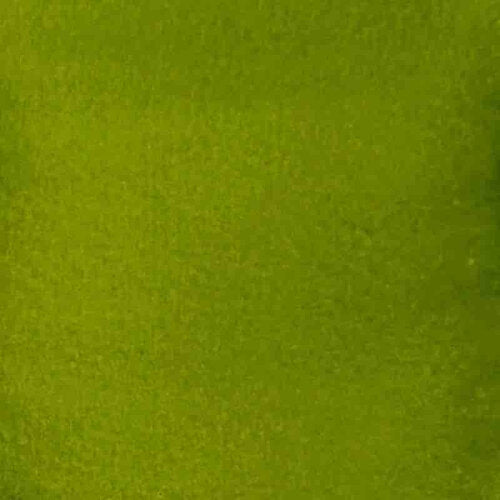 Cosmic Shimmer - Andy Skinner Ink Ology - Water-Base Ink - Golden Green