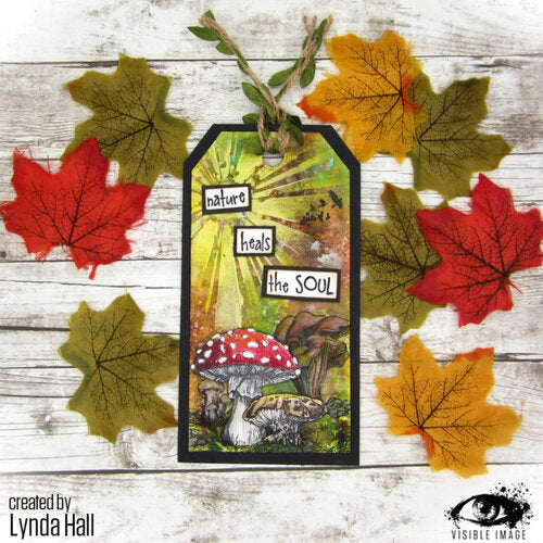 Visible Image clear stamps -Totally Toadstools