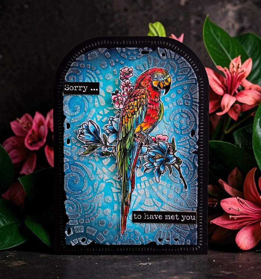 AALL & CREATE - A6 Stamps - Parrot Song TP #1348