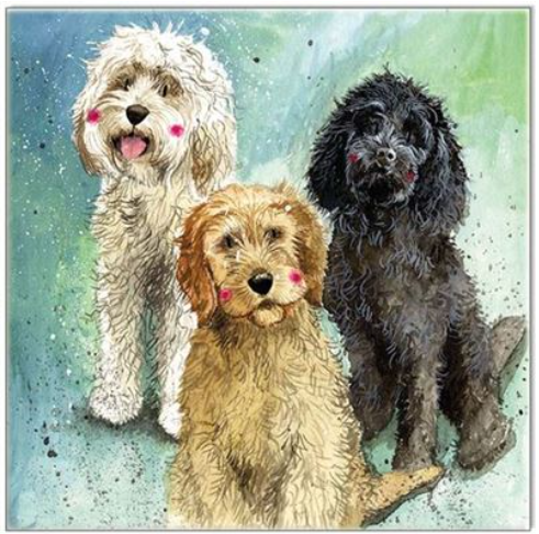 Alex Clark Greeting Cards - Cockapoos