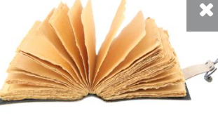 Regal Owl Leather Journal With Metal Closure 7"x5"