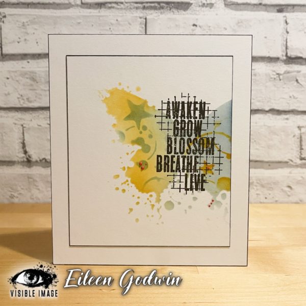 Visible Image Stencils -Butterfly Ink