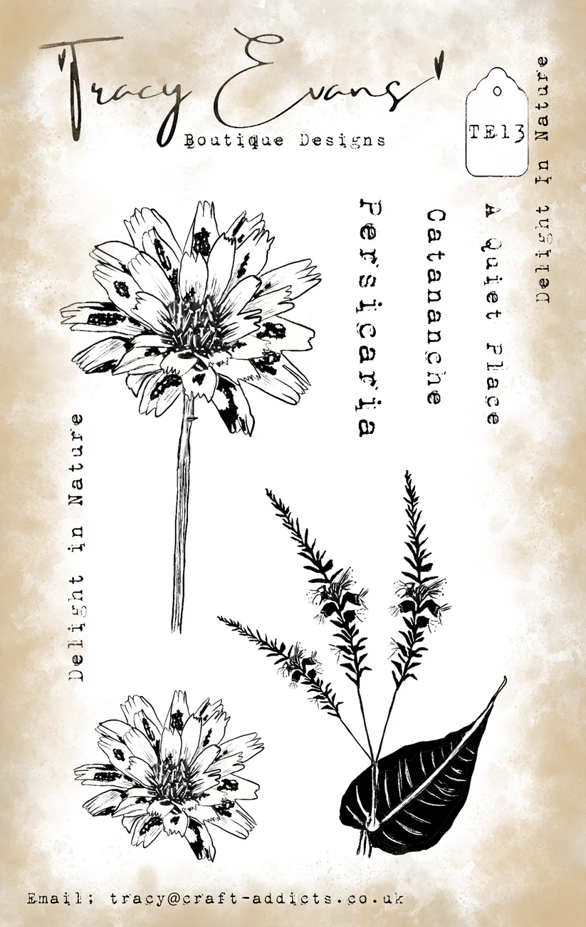 Tracy Evens Boutique Designs - Delight In Nature