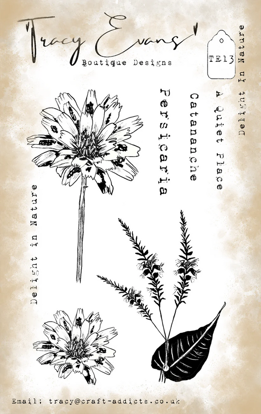 Tracy Evens Boutique Designs - Delight In Nature