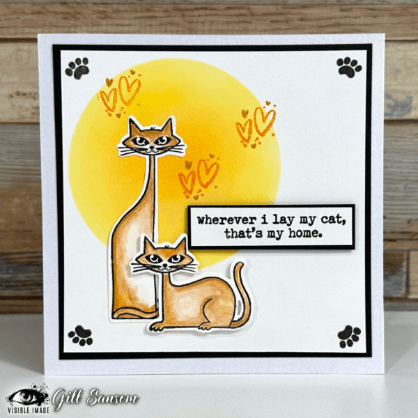 Visible Image Clear Stamps - That Lovin' Feline