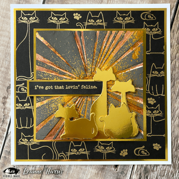 Visible Image Co-Ordinating Dies -That Lovin' Feline