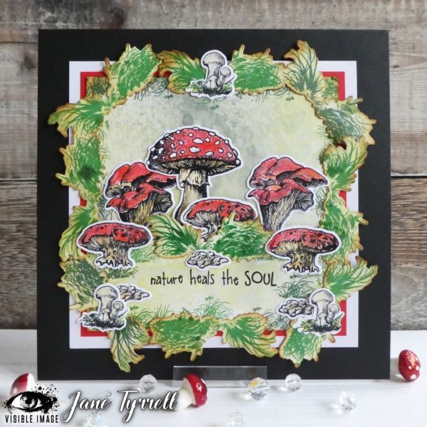 Visible Image Co-Ordinating Dies - Totally Toadstools