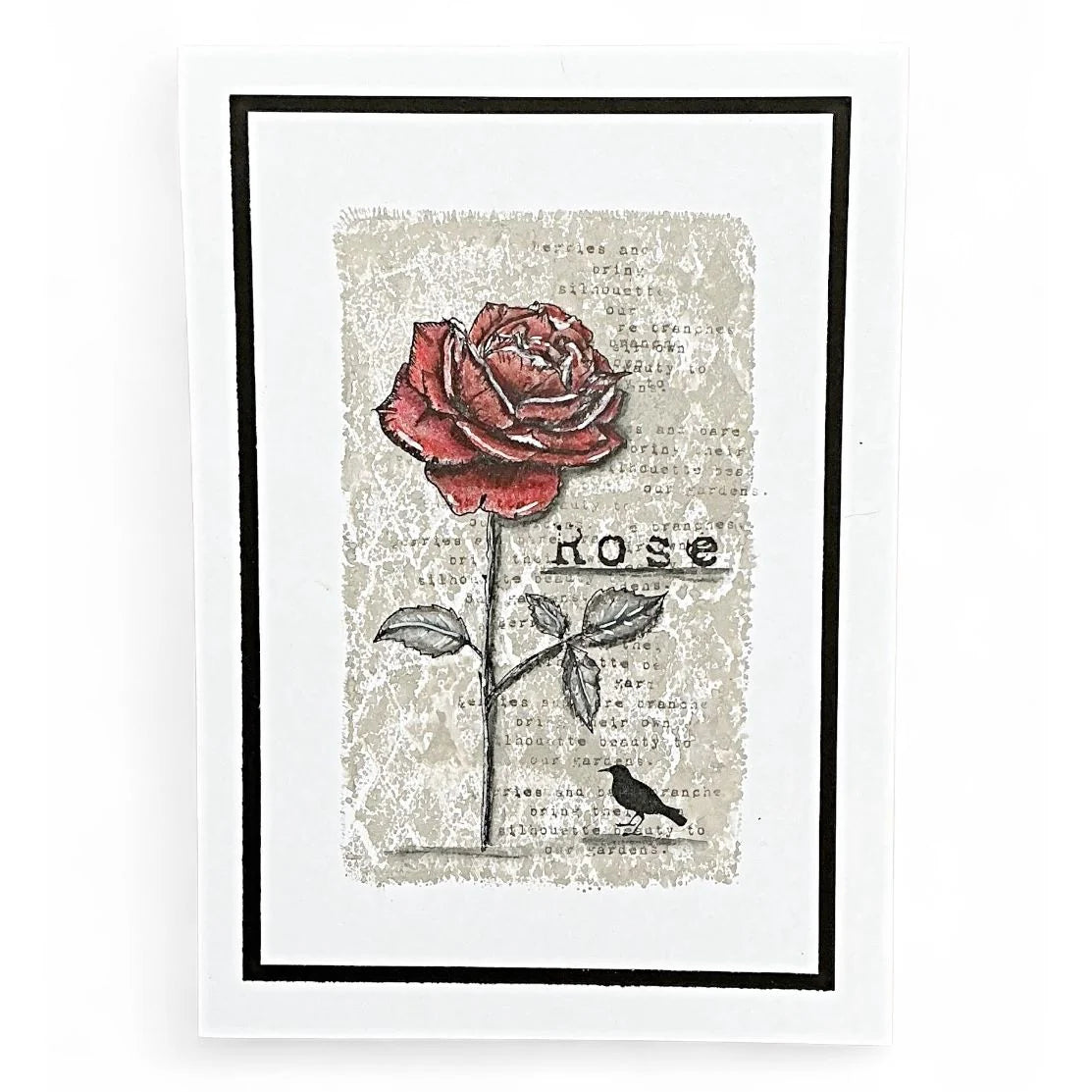 Tracy Evans Boutique Designs - Create Your Own Story TE51