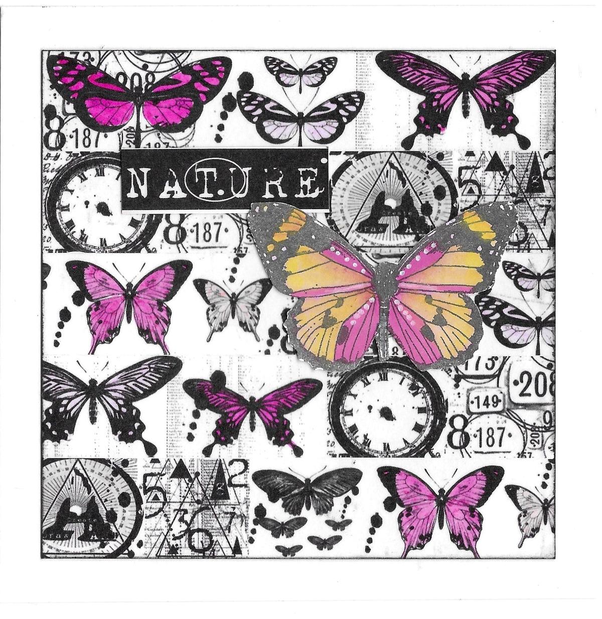 AALL & CREATE - Washi Tape - Fledgling #8