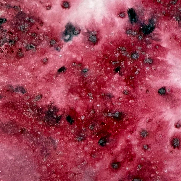 Lindy's - Rosewood Rouge Starburst Shaker