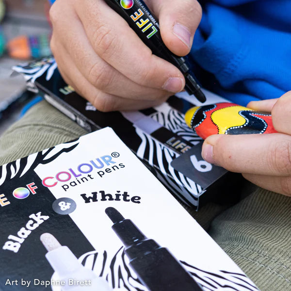 Life Of Colour Paint Pens - Black & White