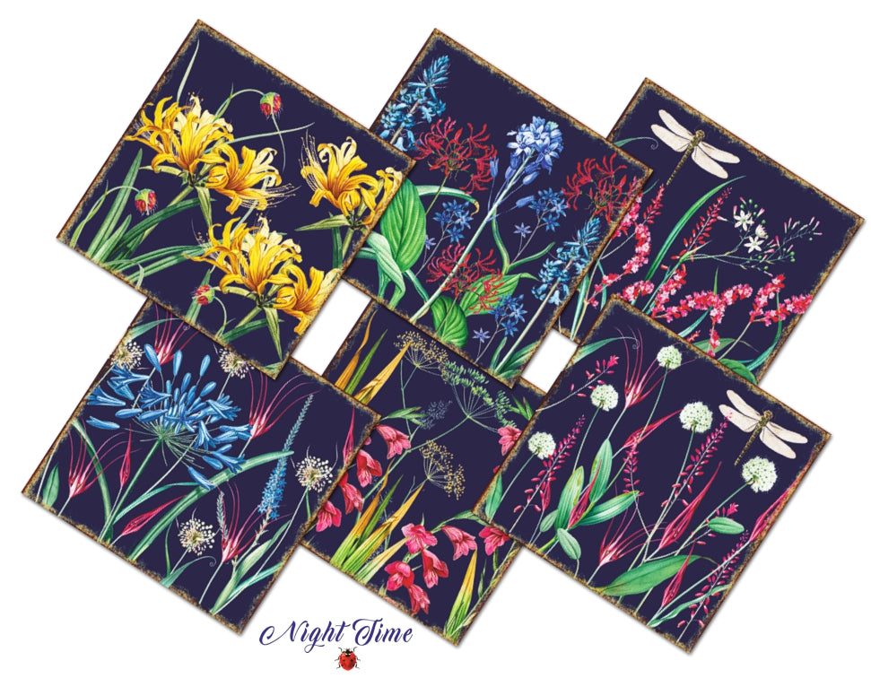 Decorer Scrapbook Paper - Night Time - 8x8