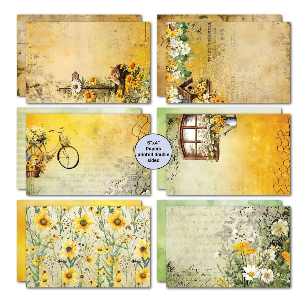 3 Quarter Designs - Hey Buttercup 6x4 Card Pack
