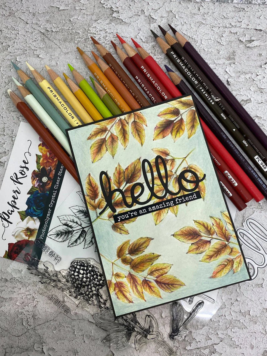 Paper Rose - Clear Stamp Set - Sketchy Floral - Hello