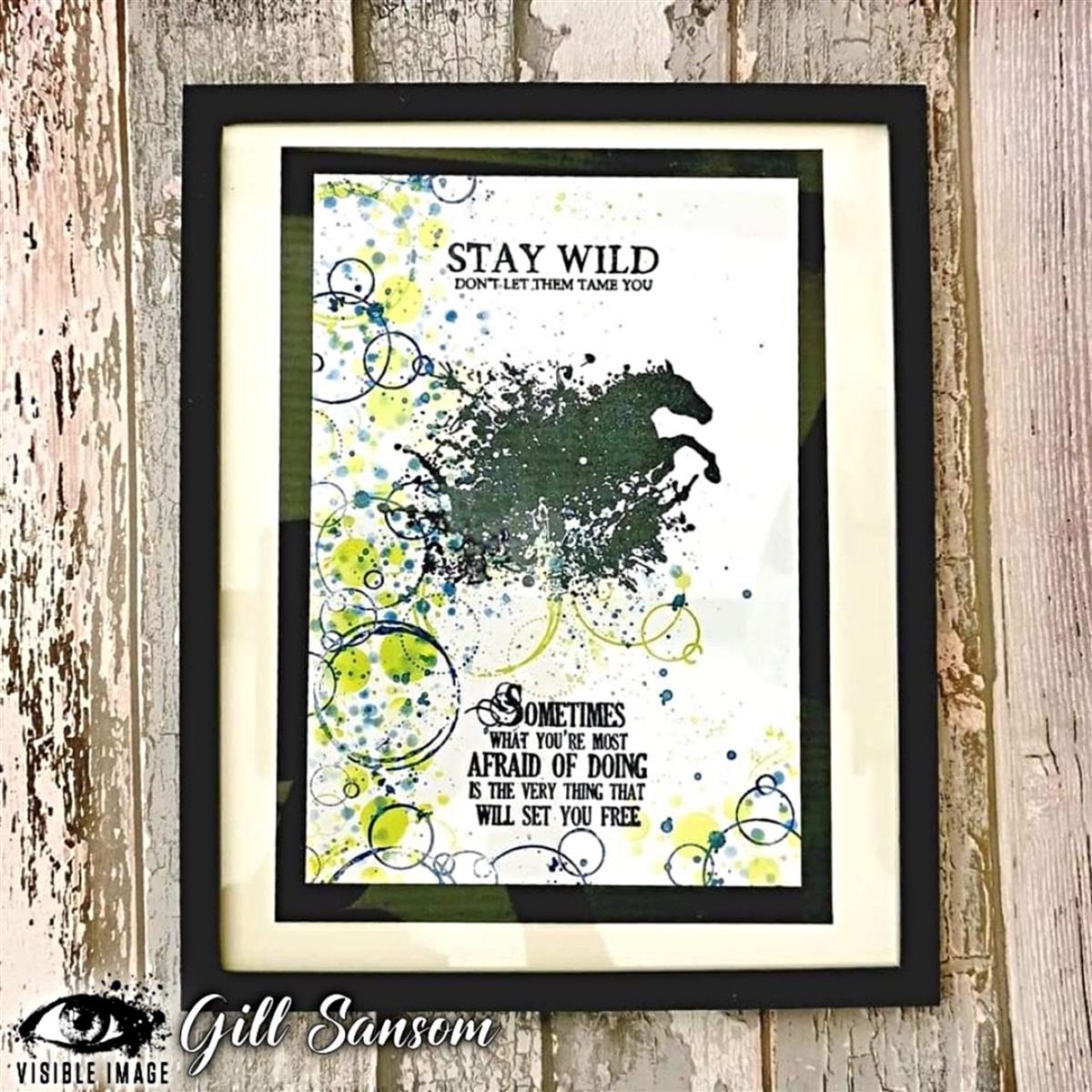 Visible Image clear stamps - Stay Wild