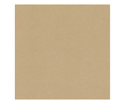 12 x 12 Textured Card - Canvas - Brown Sugar 216 gsm (Single Sheet) Arts & Crafts 10Cats