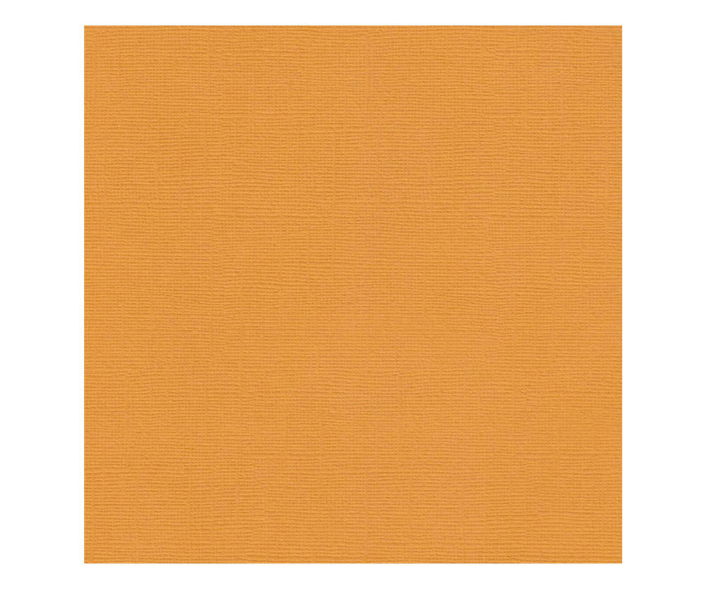 12 x 12 Textured Card - Canvas - Butterscotch 216 gsm (Single Sheet) Arts & Crafts 10Cats