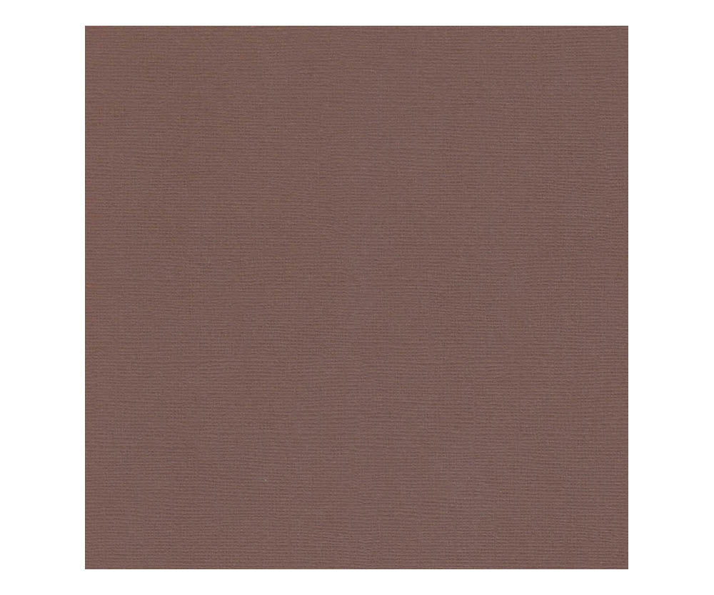 12 x 12 Textured Card - Canvas - Chestnut 216 gsm (Single Sheet) Arts & Crafts 10Cats