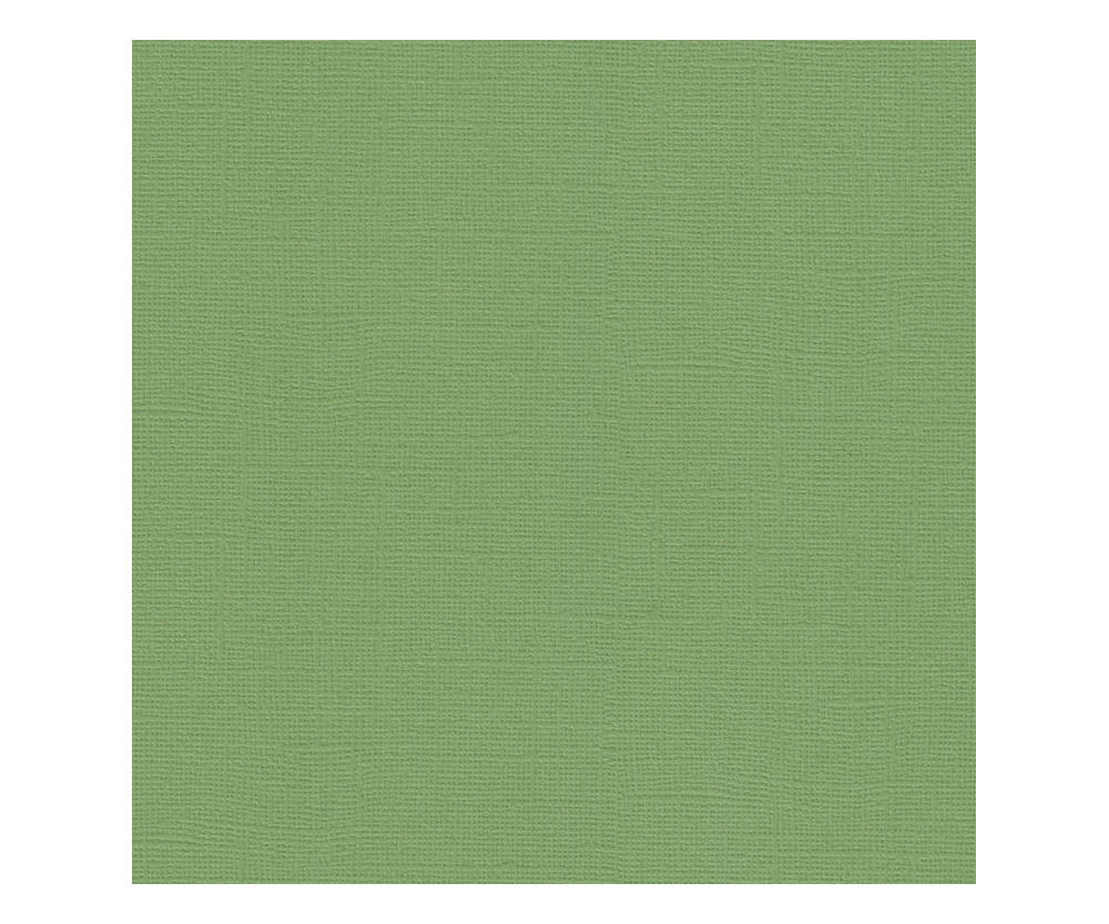 12 x 12 Textured Card - Canvas - Moss 216 gsm (Single Sheet) Arts & Crafts 10Cats