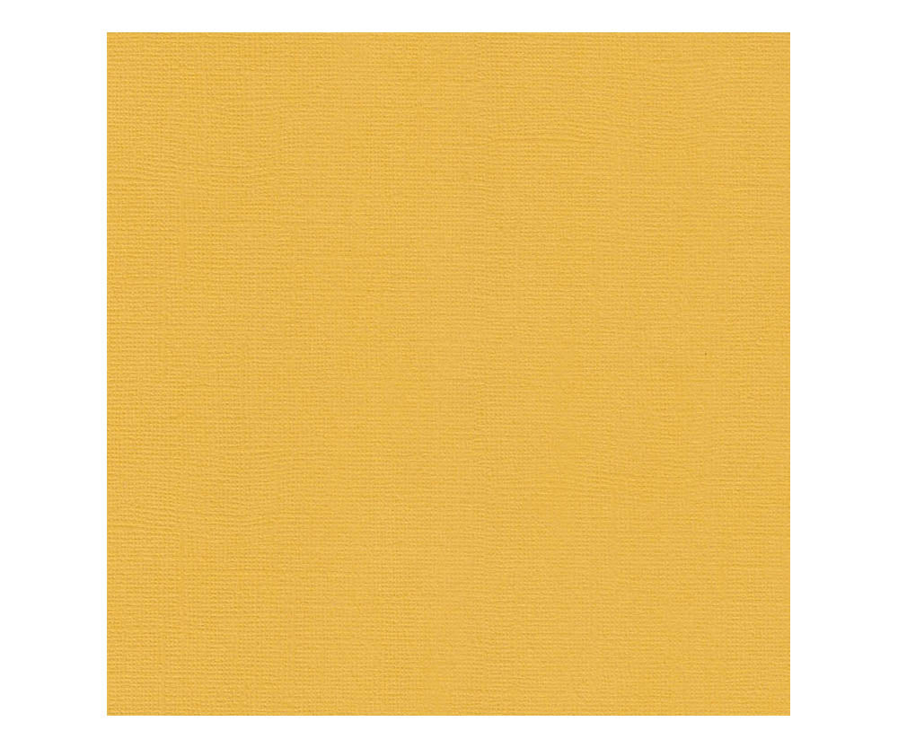 12 x 12 Textured Card - Canvas - Mustard 216 gsm (Single Sheet) Arts & Crafts 10Cats