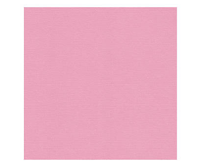 12 x 12 Textured Card - Canvas - Peony 216 gsm (Single Sheet) Arts & Crafts 10Cats