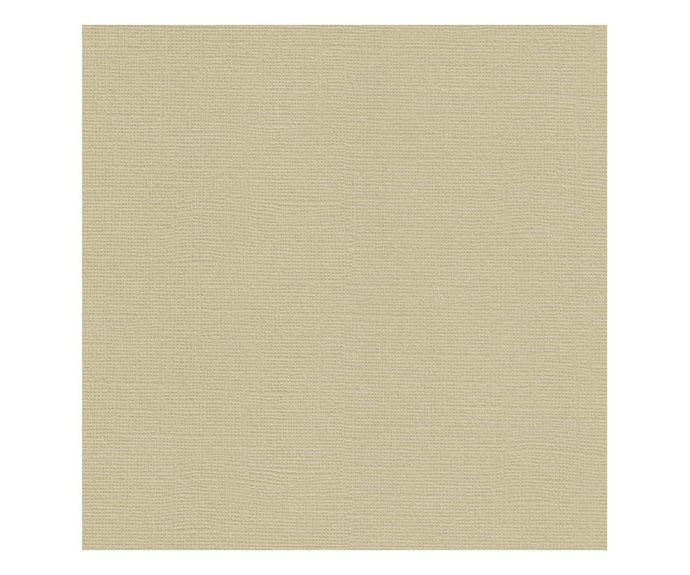 12 x 12 Textured Card - Canvas - Sand 216 gsm (Single Sheet) Arts & Crafts 10Cats