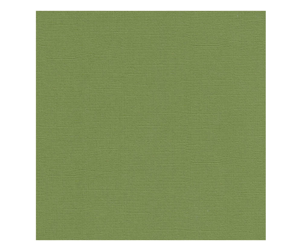 12 x 12 Textured Card - Canvas - Spinach 216 gsm (Single Sheet) Arts & Crafts 10Cats
