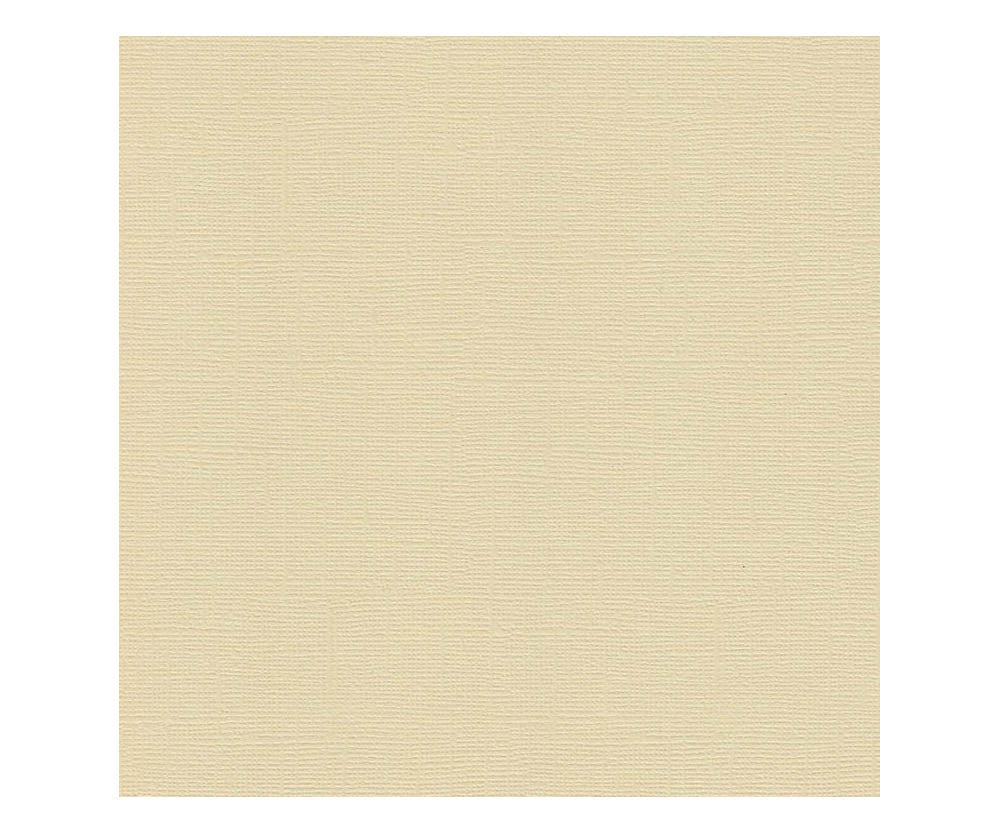 12 x 12 Textured Card - Canvas - Straw 216 gsm (Single Sheet) Arts & Crafts 10Cats