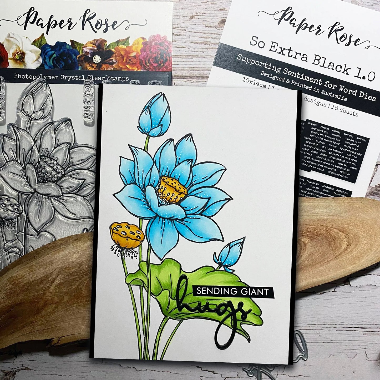 Paper Rose - So Extra Black 1.0 Supporting Sentiments