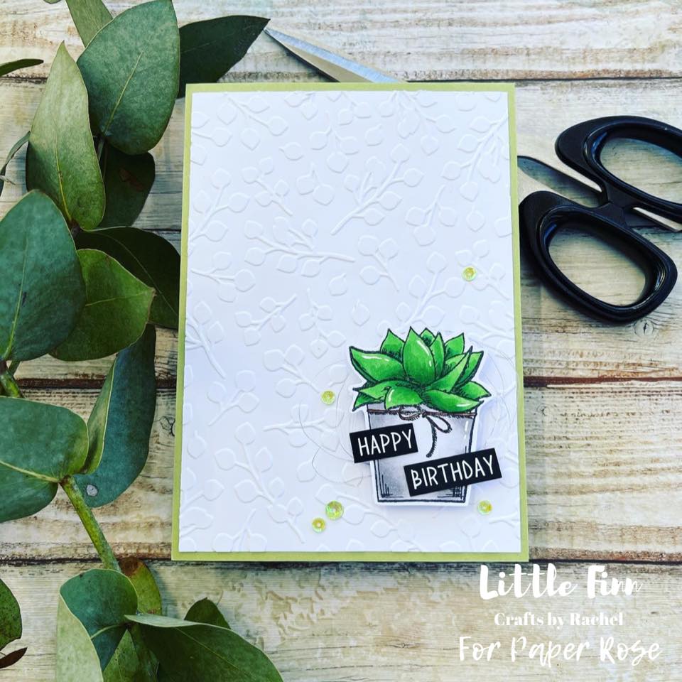 Paper Rose Embossing Folder Baby Blue