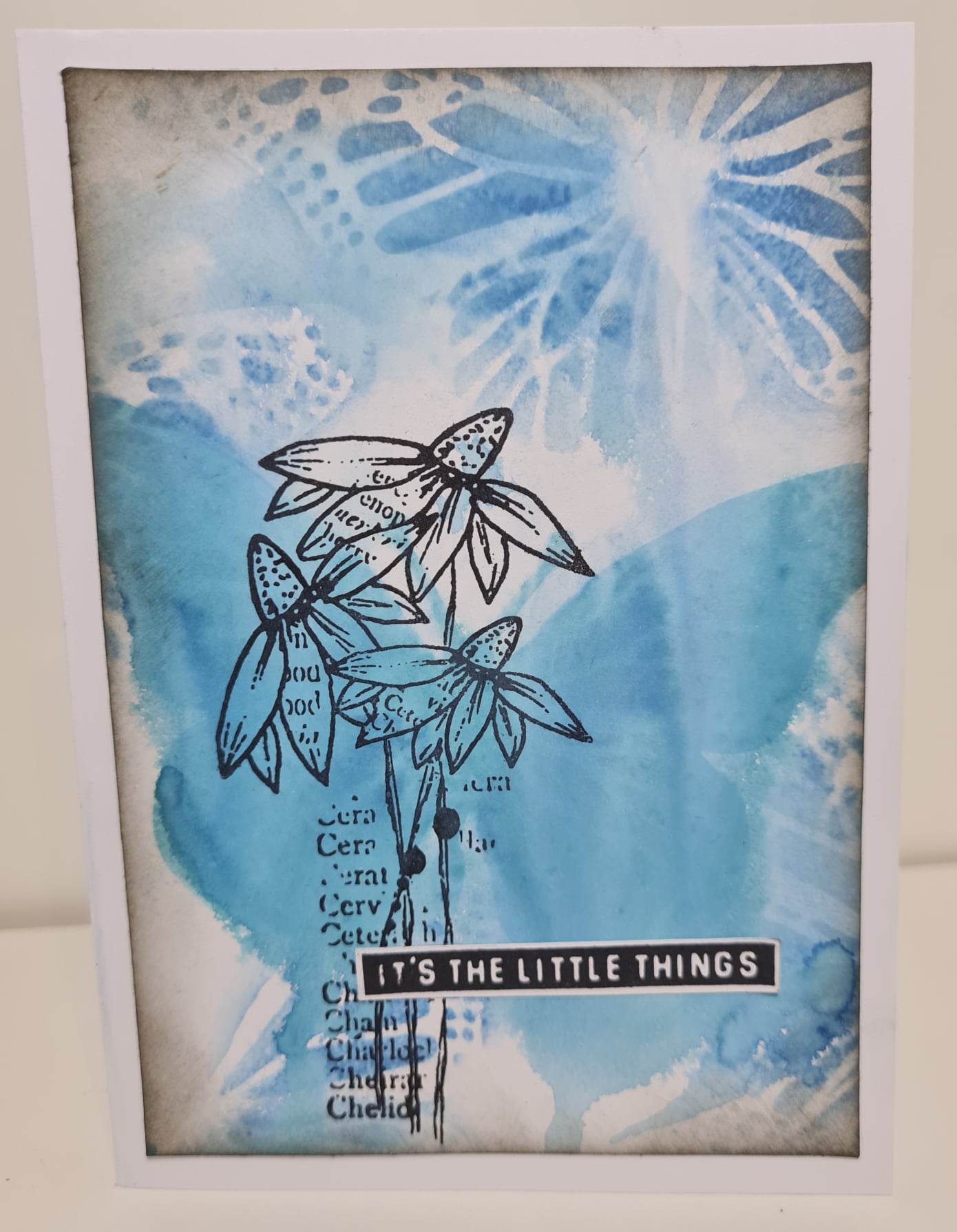 Stencil - Darkroom Door - Butterflies