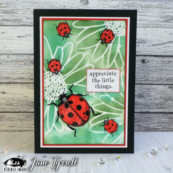 Visible Image clear stamps - Little Ladybirds