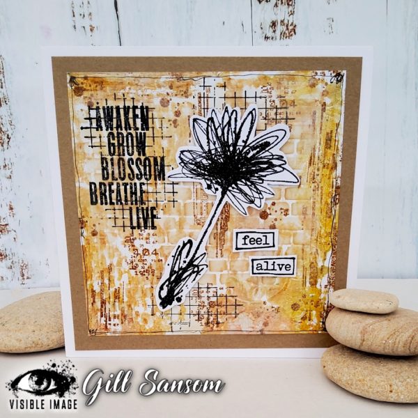 Visible Image clear stamps -Spring Awakening