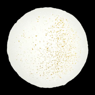 Alcohol Ink Golden Age - Snow 12ml Arts & Crafts Couture Creations