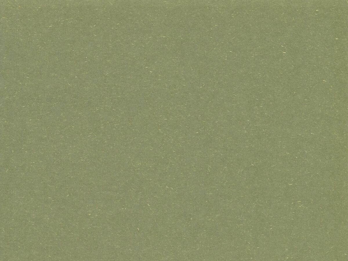 Cardstock - A5 Earthly Recycled - Parsley (20 Pack) Arts & Crafts HOP