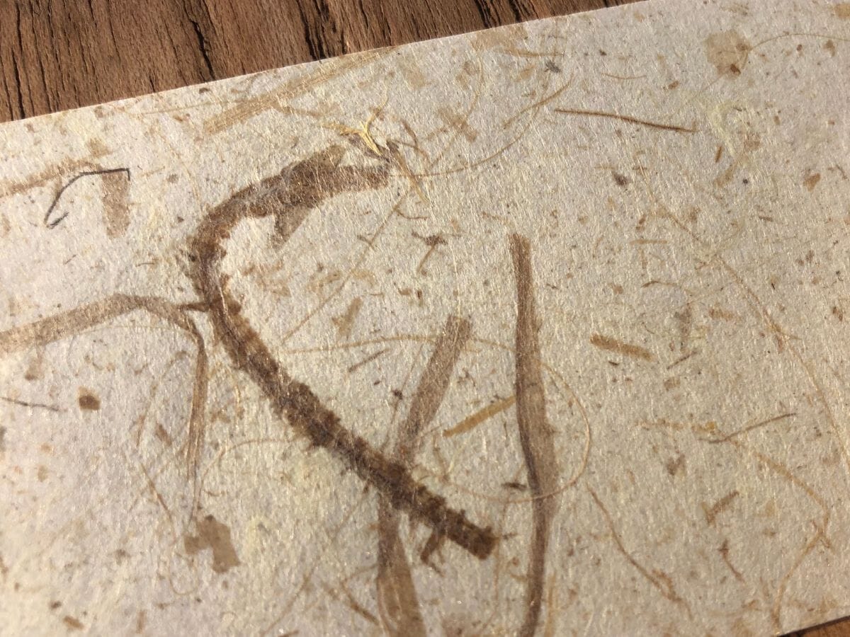 Cardstock - Thai Hand Made -Natural -A4 10 pack Arts & Crafts HOP