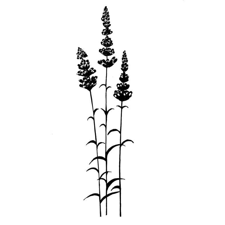 Lavinia Stamps - Lavender Arts & Crafts Lavivia Stamps