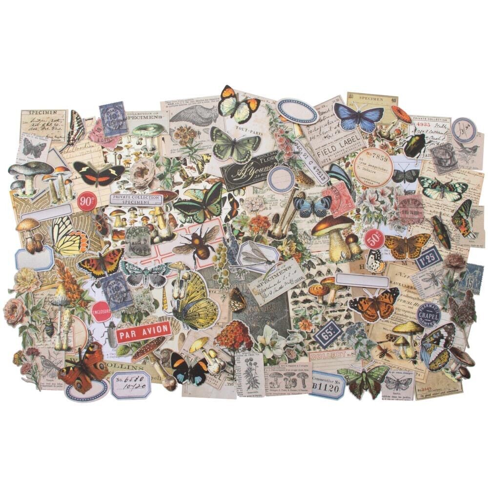 Tim Holtz - Idea-Ology Ephemera Pack 134/Pkg - Field Notes