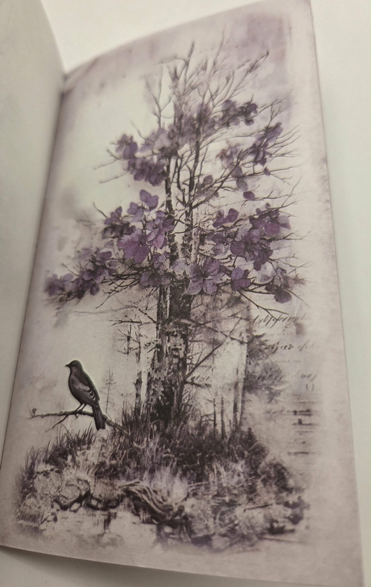 Mini Background Pad - Purple Haze
