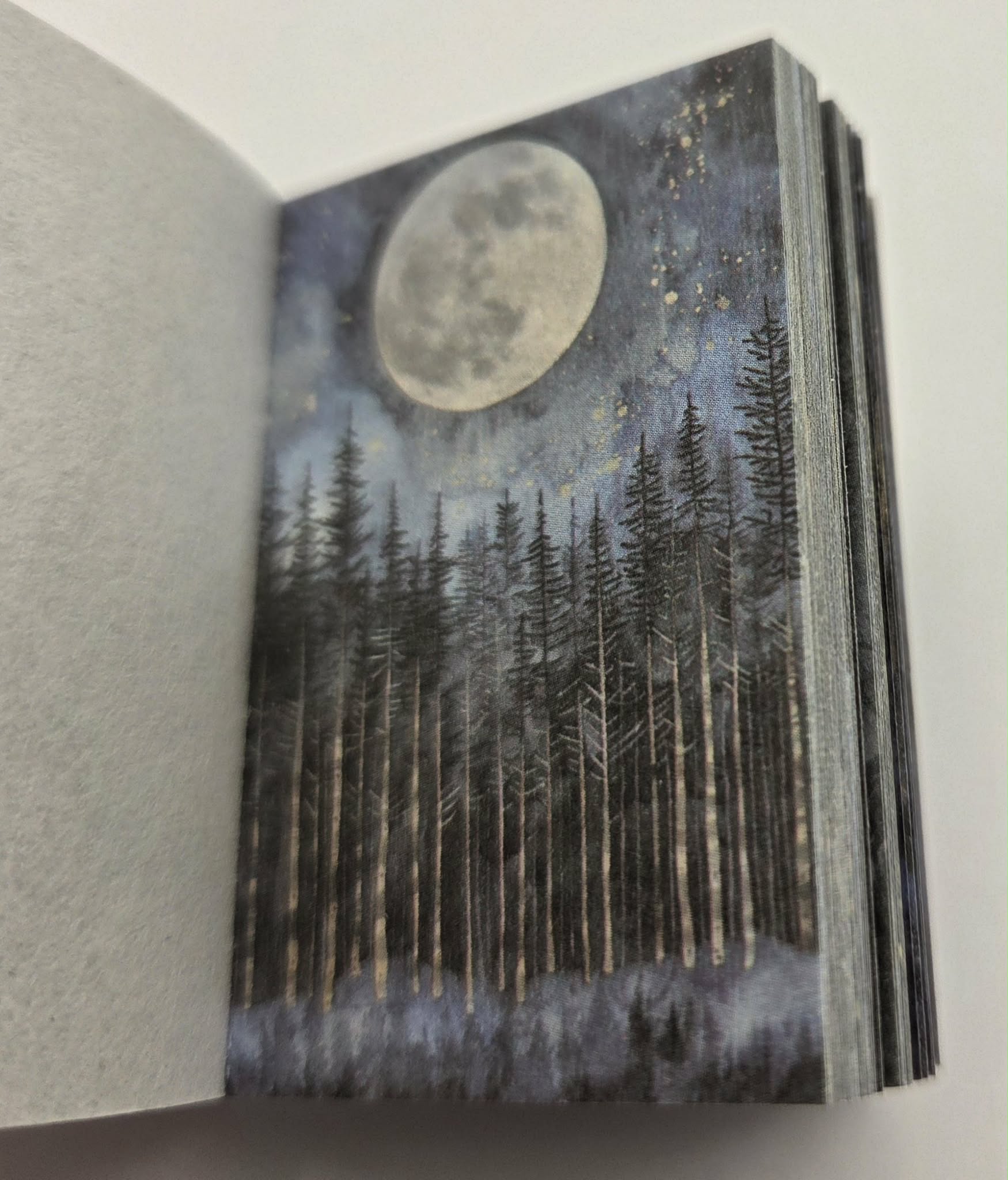 Mini Ephemera Books - Sea Of Stars Falling