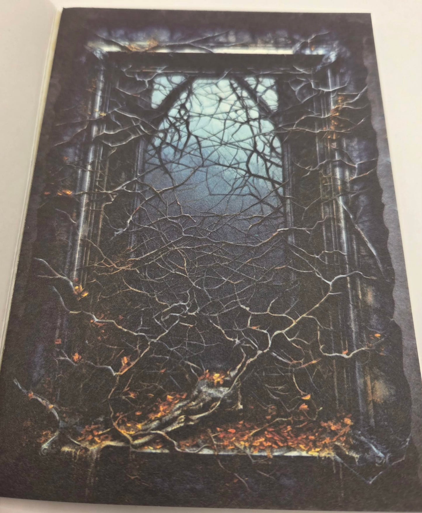 Magic Book Series  - Dark Windows paper book