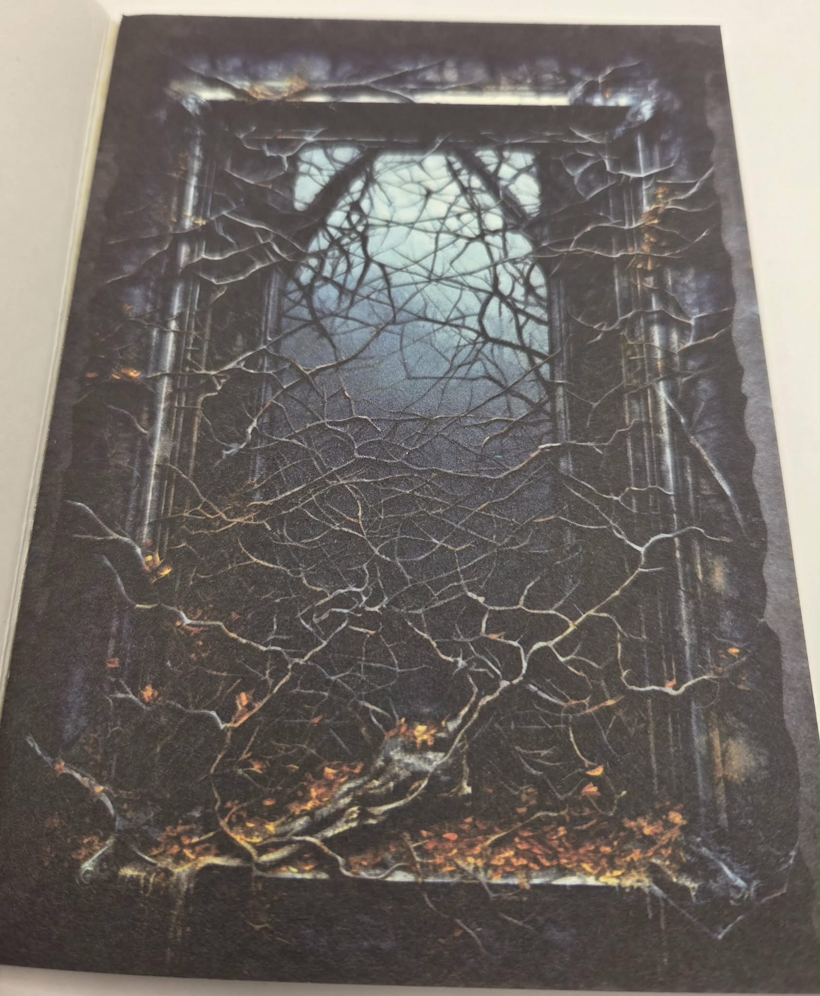 Magic Book Series  - Dark Windows paper book